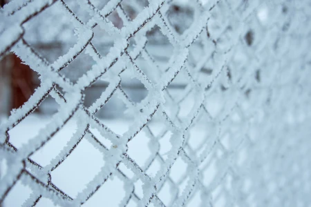 Siatka ocynkowana na mrozie