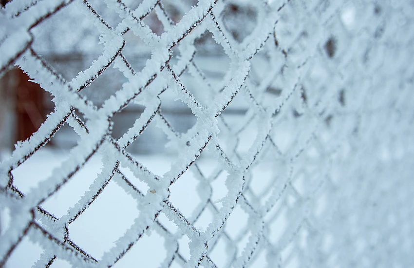 Siatka ocynkowana na mrozie