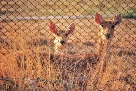 ZPUH Siatka-Trans Jan Wojtasik