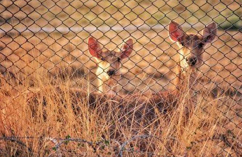 ZPUH Siatka-Trans Jan Wojtasik