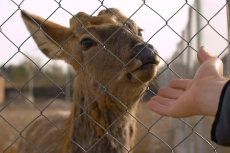 ZPUH Siatka-Trans Jan Wojtasik