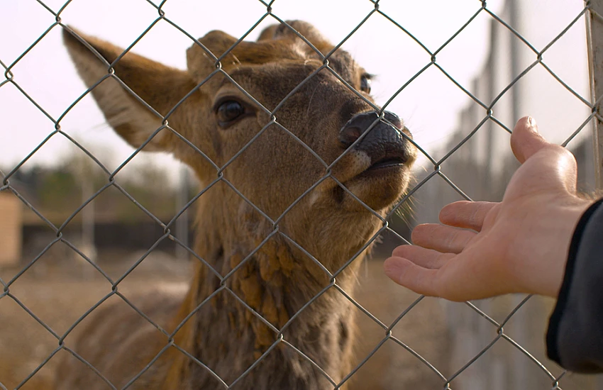 ZPUH Siatka-Trans Jan Wojtasik