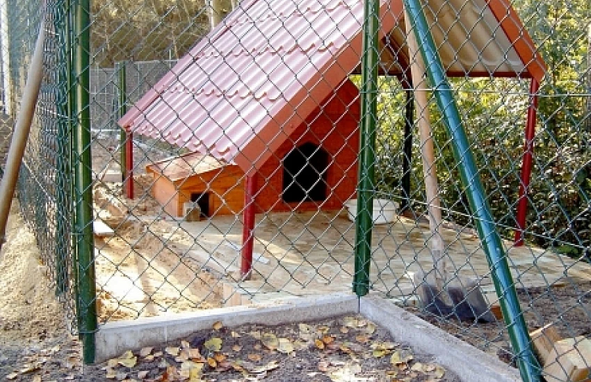 ZPUH Siatka-Trans Jan Wojtasik