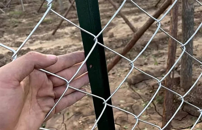 ZPUH Siatka-Trans Jan Wojtasik